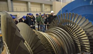 Стажировка STAR-NET